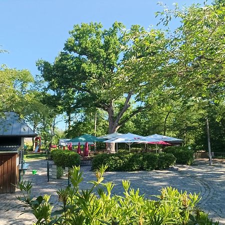 Hotel Schloesschen Sundische Wiese ツィングシュト エクステリア 写真