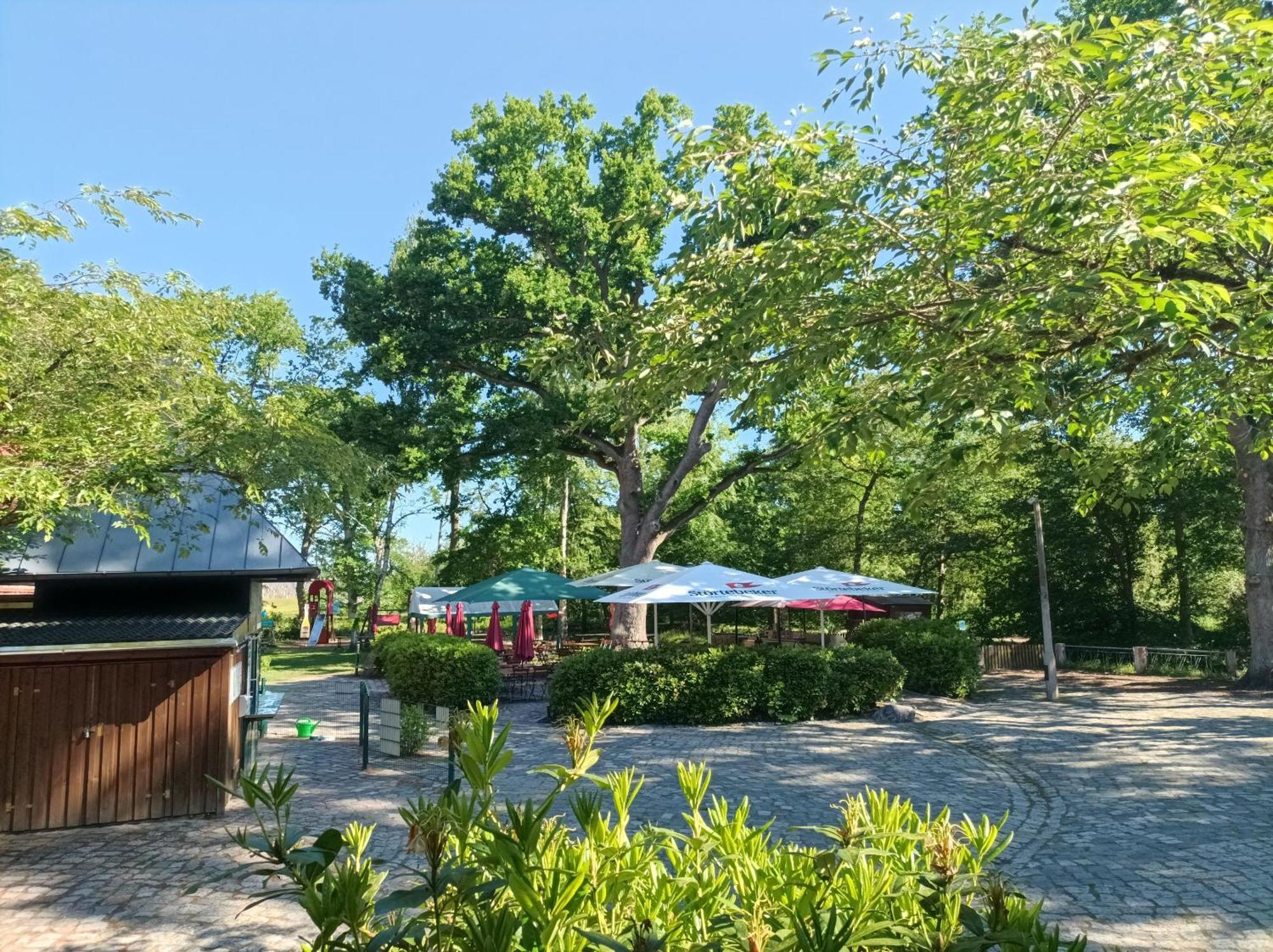 Hotel Schloesschen Sundische Wiese ツィングシュト エクステリア 写真