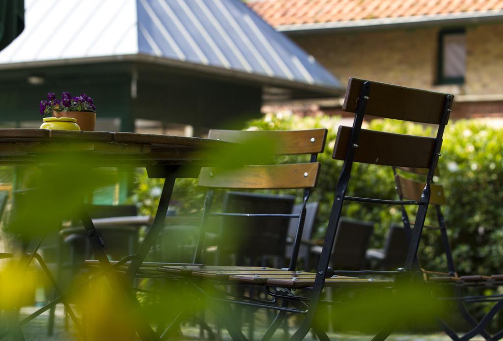 Hotel Schloesschen Sundische Wiese ツィングシュト エクステリア 写真
